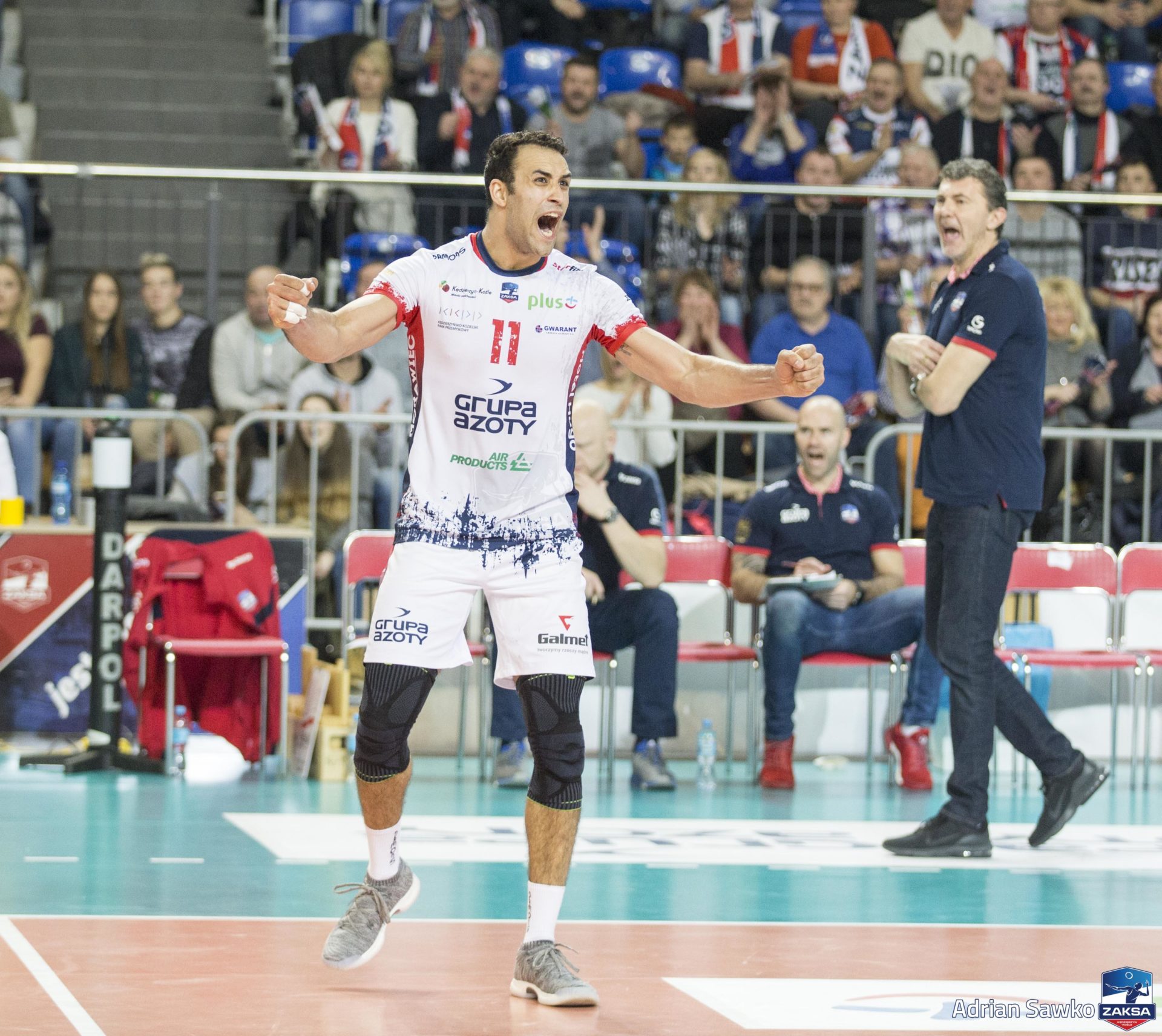 ZAKSA na fali, komplet punktów zostaje w Kędzierzynie-Koźlu