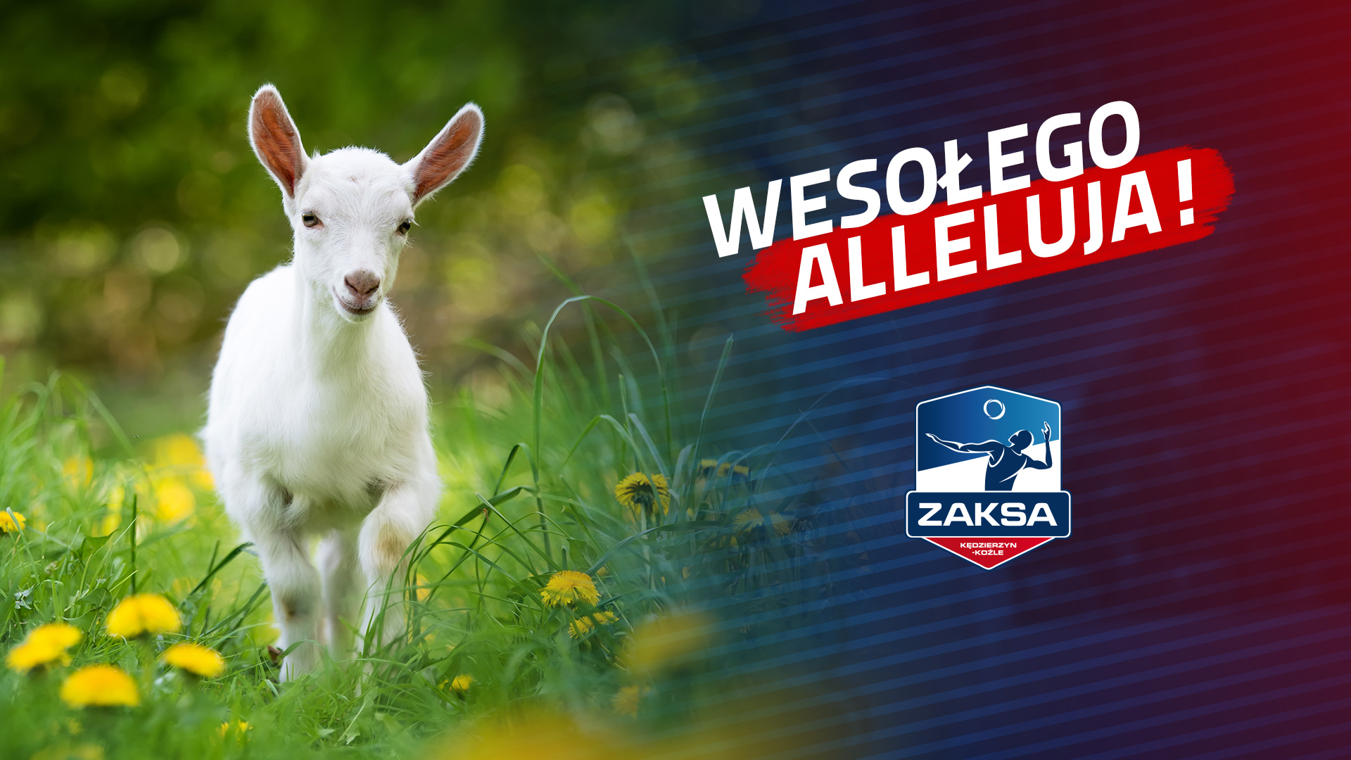 WESOŁEGO ALLELUJA!
